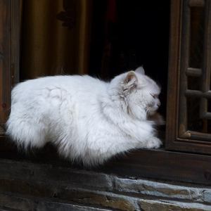 美女被人草人视频在线看
